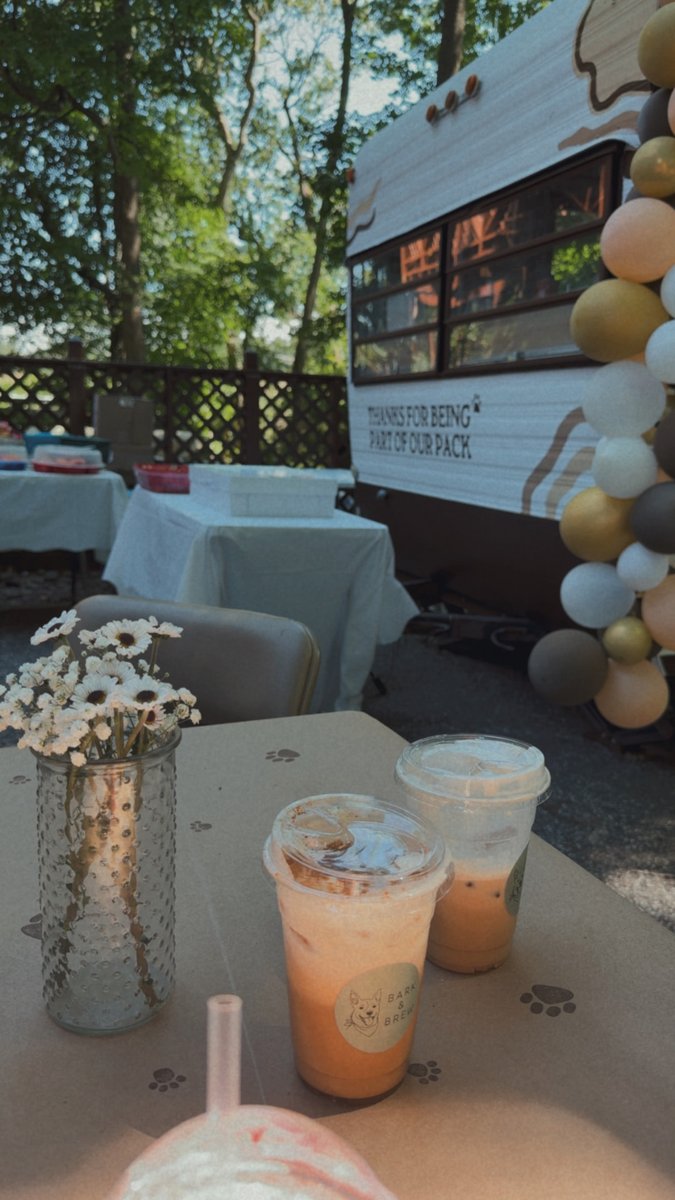 Iced drinks and flowers on a table in front of the Bark & Brew trailer with a balloon garland at an outdoor event